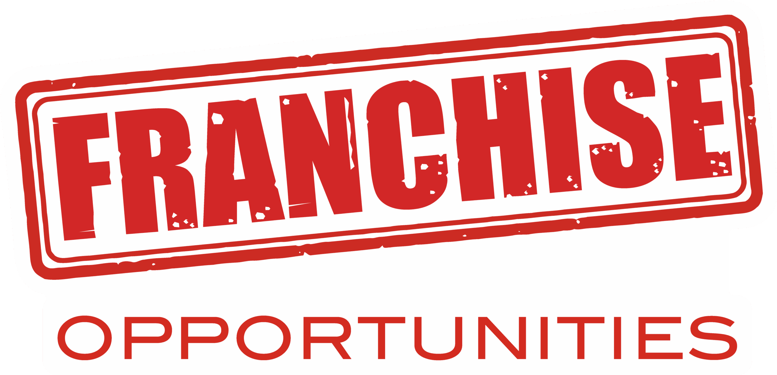 franchise opportunites Driveway Repair